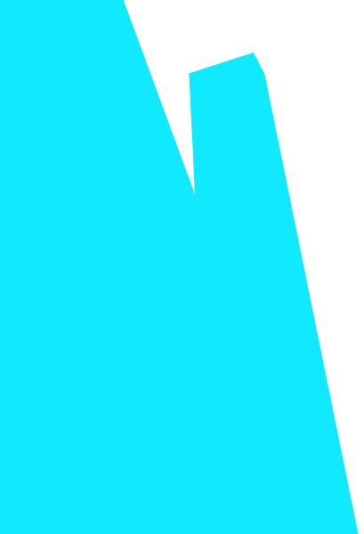 vector-01